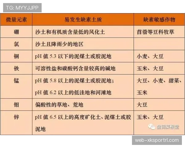 间接任意球判罚规则及关键判定条件详解